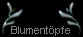  Blument�pfe 